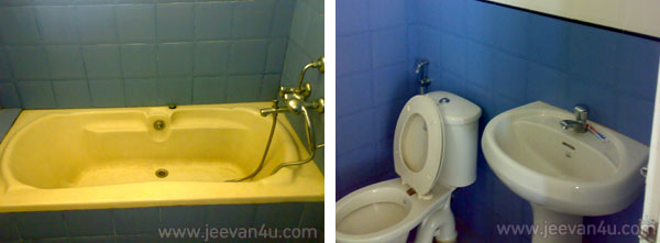 Cochin flat bathrooms